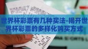 世界杯彩票有几种买法-揭开世界杯彩票的多样化购买方式