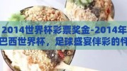 2014世界杯彩票奖金-2014年巴西世界杯，足球盛宴伴彩的怦然心动
