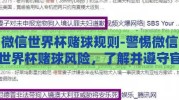 微信世界杯赌球规则-警惕微信世界杯赌球风险，了解并遵守官方规则