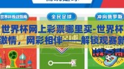 世界杯网上彩票哪里买-世界杯激情，网彩相伴——解锁观赛新体验