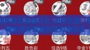 世界杯彩票是什么-识财之路，揭秘世界杯彩票的魅力与玩法