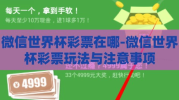 微信世界杯彩票在哪-微信世界杯彩票玩法与注意事项
