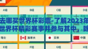 去哪买世界杯彩票-了解2023年世界杯精彩赛事并参与其中，除了观看比赛外，很多球迷和爱好者还乐于通过购买彩票来增加观赛乐趣和体验激动人心的中奖快感。那么，大众应去哪买世界杯彩票并享受这份期待与惊喜呢？
