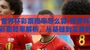 世界杯彩票赔率怎么算-世界杯彩票赔率解析，从基础到实践的全面探索