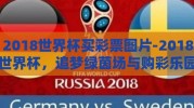 2018世界杯买彩票图片-2018世界杯，追梦绿茵场与购彩乐园的奇妙交织