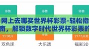 网上去哪买世界杯彩票-轻松指南，解锁数字时代世界杯彩票的新世界