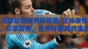 足球彩票世界杯停售-足球激情，彩票暂停，世界杯期间的重要抉择