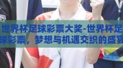 世界杯足球彩票大奖-世界杯足球彩票，梦想与机遇交织的盛宴