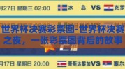 世界杯决赛彩票图-世界杯决赛之夜，一张彩票图背后的故事