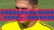 在哪里买世界杯滚球-精彩赛事，尽在指尖——揭秘世界杯滚球购买新选择