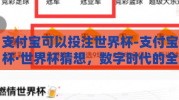 支付宝可以投注世界杯-支付宝杯·世界杯猜想，数字时代的全新投注体验