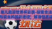 哪儿能买世界杯彩票-探索合法与安全的购彩途径，解读世界杯彩票购买之谜