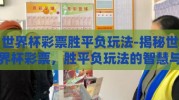 世界杯彩票胜平负玩法-揭秘世界杯彩票，胜平负玩法的智慧与策略