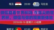 微信能看世界杯吗-在指尖的世界杯，微信与你的观赛新体验