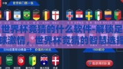 世界杯竞猜的什么软件-解锁足球激情，世界杯竞猜的智慧选择与软件指南