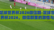 足球世界杯2026微信群-足球世界杯2026，微信群里的激情与展望