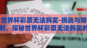 世界杯彩票无法购买-挑战与限制，探秘世界杯彩票无法购买的现象及其影响