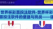 世界杯彩票投注软件-世界杯彩票投注软件的便捷与挑战——谨慎投注，理智取乐