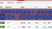 世界杯彩票会输多少-选择与概率的交锋，探讨购买世界杯彩票的潜在风险与现实