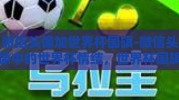 微信头像加世界杯国旗-微信头像中的世界杯情结，世界杯国旗的创意展现
