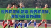 世界杯足球 彩票-世界杯足球，激情与彩票的碰撞