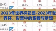 2023年世界杯彩票-2023年世界杯，彩票中的激情与梦想