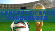 在哪里买世界杯滚球-世界杯足球滚球的正确购买渠道