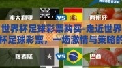 世界杯足球彩票购买-走近世界杯足球彩票，一场激情与策略的交融