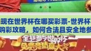 现在世界杯在哪买彩票-世界杯购彩攻略，如何合法且安全地参与赛事竞猜