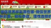 微信世界杯彩票在哪-微信世界杯彩票，轻松参战，理性选择的重要概览