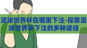 足球世界杯在哪里下注-探索足球世界杯下注的多种途径