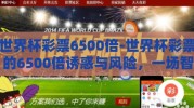 世界杯彩票6500倍-世界杯彩票的6500倍诱惑与风险，一场智慧与运气的较量