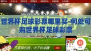 世界杯足球彩票哪里买-何处可购世界杯足球彩票