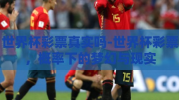 世界杯彩票真实吗-世界杯彩票，概率下的梦幻与现实