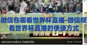 微信在哪看世界杯直播-微信观看世界杯直播的便捷方式