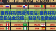 世界杯彩票如何投注-世界杯彩票投注全攻略，智略与激情的碰撞