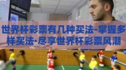 世界杯彩票有几种买法-掌握多样买法·尽享世界杯彩票风潮