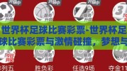 世界杯足球比赛彩票-世界杯足球比赛彩票与激情碰撞，梦想与机遇的舞台