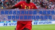 央视点名世界杯彩票-央视聚焦，世界杯彩票的狂热与规范
