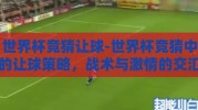 世界杯竞猜让球-世界杯竞猜中的让球策略，战术与激情的交汇