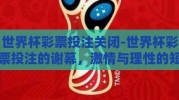 世界杯彩票投注关闭-世界杯彩票投注的谢幕，激情与理性的短暂交响