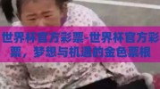 世界杯官方彩票-世界杯官方彩票，梦想与机遇的金色票根