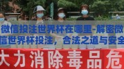 微信投注世界杯在哪里-解密微信世界杯投注，合法之道与安全之行