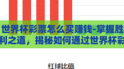 世界杯彩票怎么买赚钱-掌握胜利之道，揭秘如何通过世界杯彩票实现预测与盈利