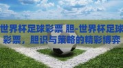 世界杯足球彩票 胆-世界杯足球彩票，胆识与策略的精彩博弈