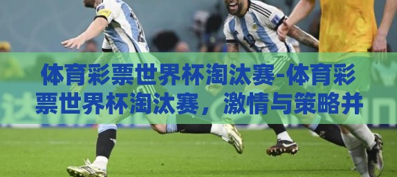 体育彩票世界杯淘汰赛-体育彩票世界杯淘汰赛，激情与策略并行的竞技场