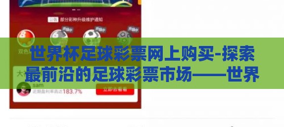 世界杯足球彩票网上购买-探索最前沿的足球彩票市场——世界杯之际的网上购买热潮