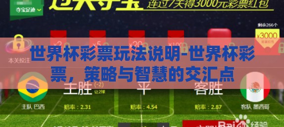 世界杯彩票玩法说明-世界杯彩票,策略与智慧的交汇点 世界杯彩票玩法说明-世界杯彩票,策略与智慧的交汇点