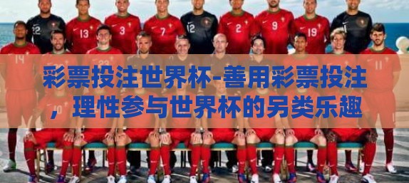 彩票投注世界杯-善用彩票投注，理性参与世界杯的另类乐趣