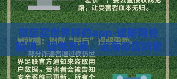 微信买世界杯的app-谨防网络陷阱，理性观赛，远离微信购世界杯彩票App